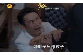 眉县眉县专业催债公司，专业催收