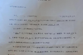眉县如何避免债务纠纷？专业追讨公司教您应对之策